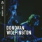 Mosquito - Donovan Wolfington & Audiotree lyrics