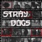 STRAYDOGS (Superior Sessions Live) artwork