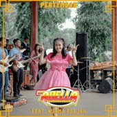 Pertemuan (feat. Nurma Paejah) artwork