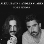 No te rindas (feat. Andrés Suárez) artwork