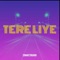 Tere Liye (Instrumental) cover