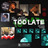 Too Little Too Late (feat. Ash Santana) artwork