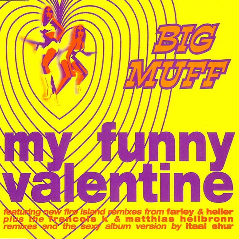 My funny Valentine. My funny Valentine минус. My funny Valentine Single. Sting my funny Valentine.