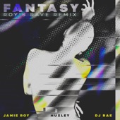 Fantasy (Roy's Rave Remix) artwork