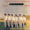 Digas Lo Que Digas: Tu Grupo los Ronisch, Vol. 3, 1991