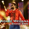 Adare Wedana - Single