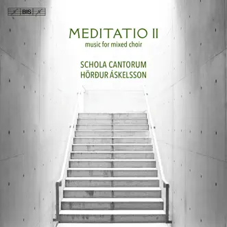 Meditatio II - Music for Mixed Choir by Schola Cantorum Reykjavicensis & Hörður Áskelsson album reviews, ratings, credits