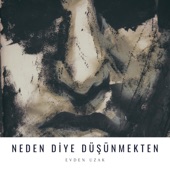 Neden Diye Düşünmekten artwork