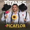 El Picaflor - Single