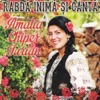 Rabda inima si canta, 2013