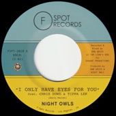I Only Have Eyes For You (feat. Chris Dowd & Tippa Lee) artwork