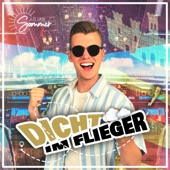 Dicht im Flieger artwork