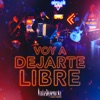 Voy a Dejarte Libre - Single