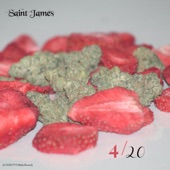 Saint James - Saltwater - Freestyle