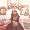 I Guess That Was Goodbye - Single