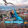 Wind of Istanbul (Pilarinos & Karypidis Remix) - Single
