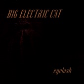 Blind by Big Electric Cat