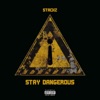 Stay Dangerous - Single