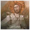 Stream & download Buxtehude: Membra Jesu Nostri