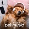 Beak Beats - Pet Music Academy lyrics