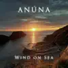 Wind on Sea (feat. John McGlynn) [2021 Version] [2021 Version] - Single album lyrics, reviews, download