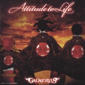 Attitude To Life artwork