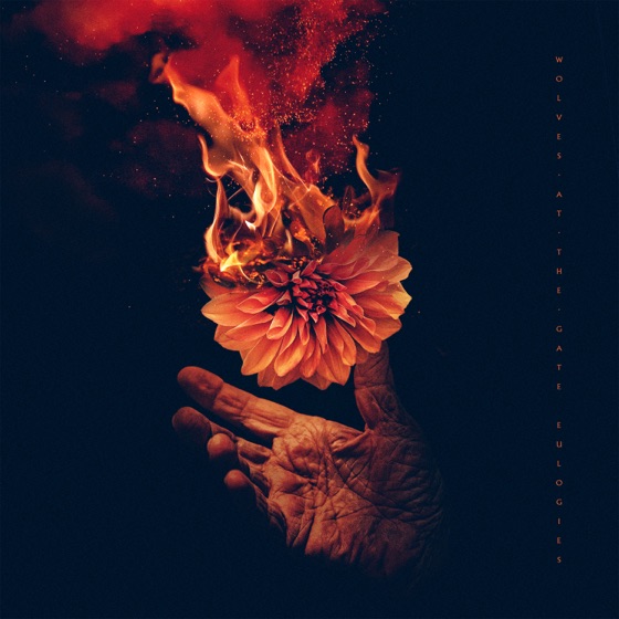 Cover artwork for Lights & Fire