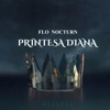 Printesa Diana - Single