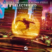 Electrified (feat. Tungevaag) artwork