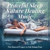 Peaceful Sleep Nature Healing Music - The Natural Project to Fall Asleep Fast