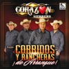 Corridos y Rancheras de Arranque!