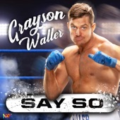 WWE: Say So (Grayson Waller) artwork