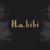 Habibi artwork