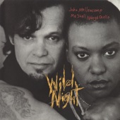 John Mellencamp - Wild Night