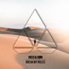 Break My Rules - Single