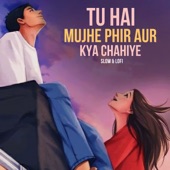 Tu Hai To Mujhe Phir Aur Kya Chahiye (Slow & Lofi) artwork