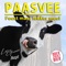 Paasvee (feat. Marcel Meijer) artwork