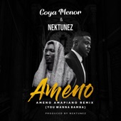 Goya Menór - Ameno Amapiano Remix