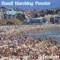 Bondi Marching Powder - Schwaben lyrics