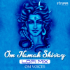 Om Namah Shivay (Lofi Mix) - Om Voices