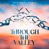 Through the Valley (feat. Poetic Justis, Roxiie Reese, Mr Maph & Rachel Marie) - Single album lyrics, reviews, download
