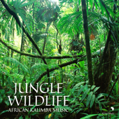 Jungle Wildlife (African Kalimba Music) - African Music Experience, Africa Music & African Music Crew
