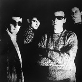 Television Personalities - Stop and Smell the Roses