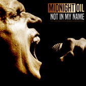 Not In My Name (Live 1993) artwork