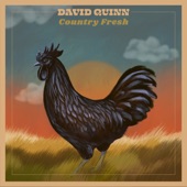 David Quinn - Grassy Trails