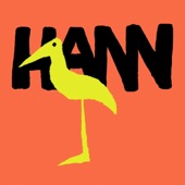 HANN - Saddle-Billed Stork