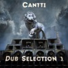 Dub Selection 1