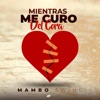 Mientras Me Curo Del Cora - Single