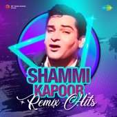 Shammi Kapoor (Remix) Hits artwork