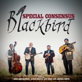 Special Consensus - Blackbird feat. Dale Ann Bradley,Alison Brown,Rob Ickes,Amanda Smith